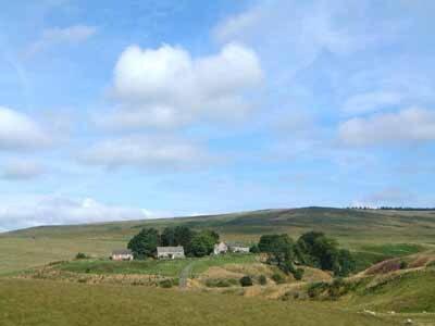 Rowan Cottage Catcleugh Zewnętrze zdjęcie