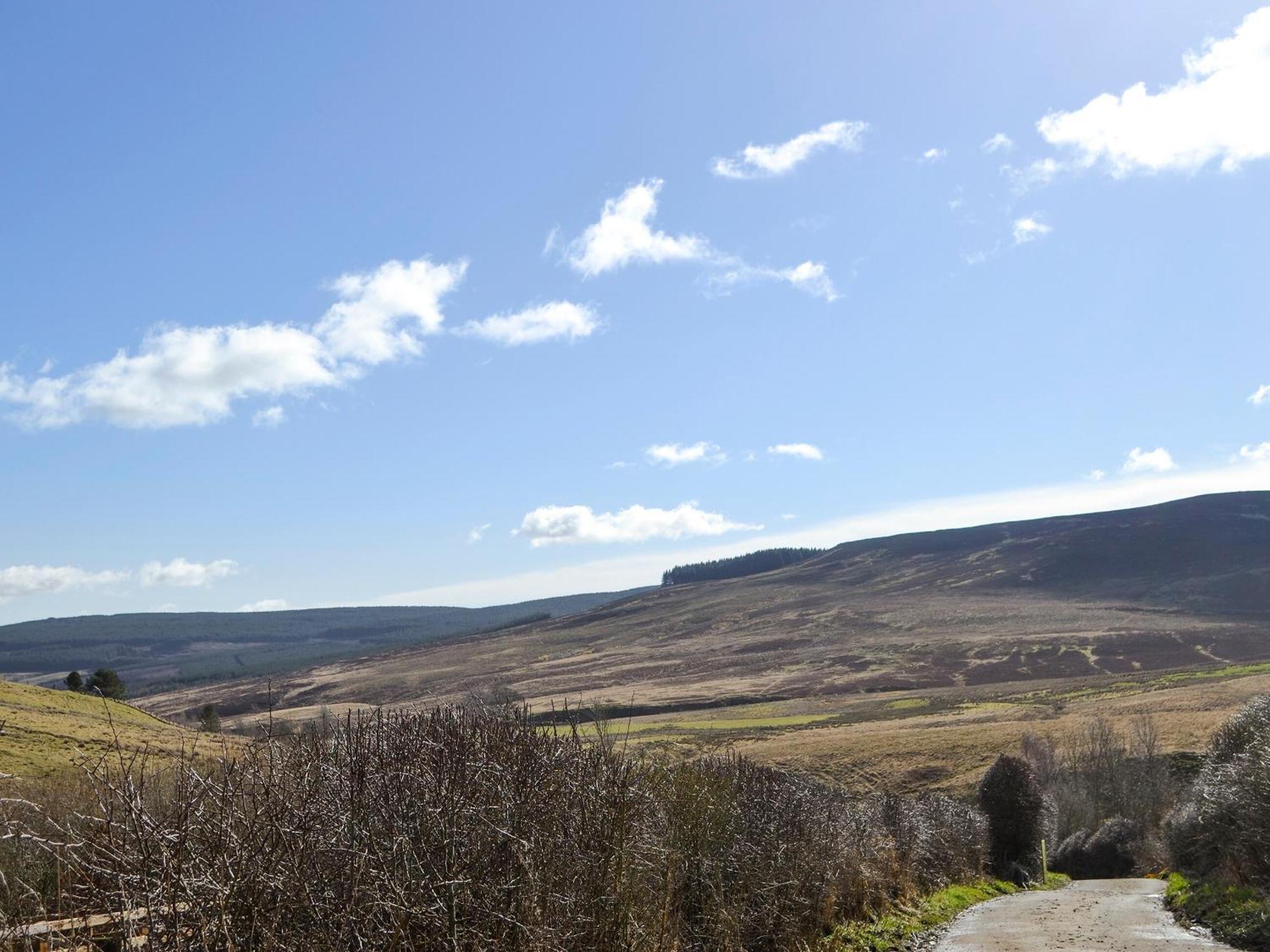 Rowan Cottage Catcleugh Zewnętrze zdjęcie