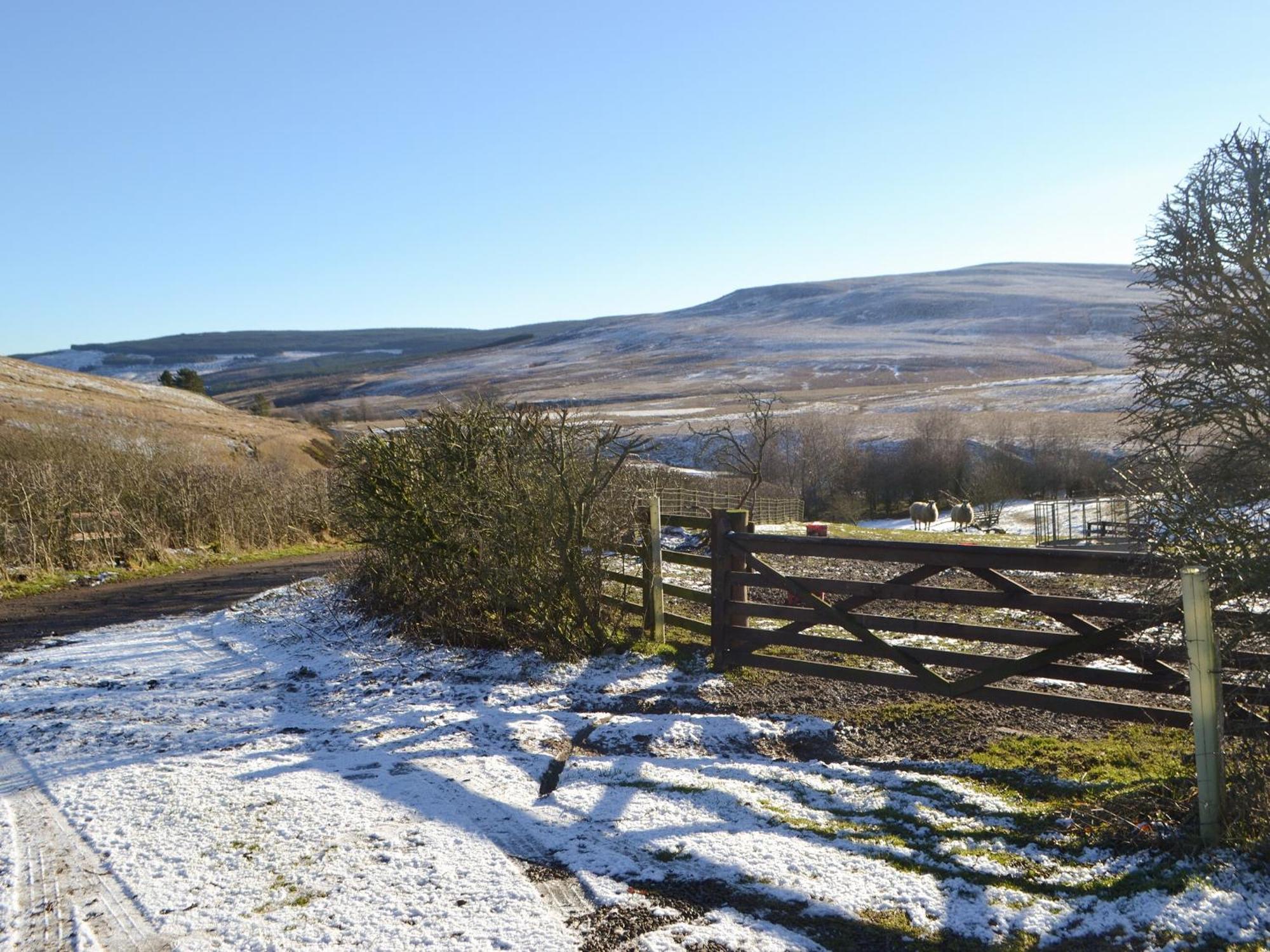 Rowan Cottage Catcleugh Zewnętrze zdjęcie